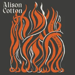 Alison Cotton Portrait You Painted Of Me (LP)