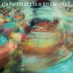 Carwyn Ellis &amp; Rio 18 Haf (LP)
