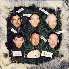 Bob Hund Bob Hund I (CD)