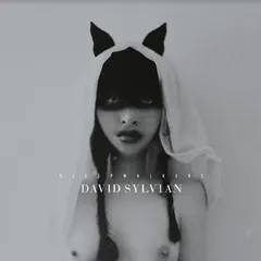 David Sylvian Sleepwalkers (CD)