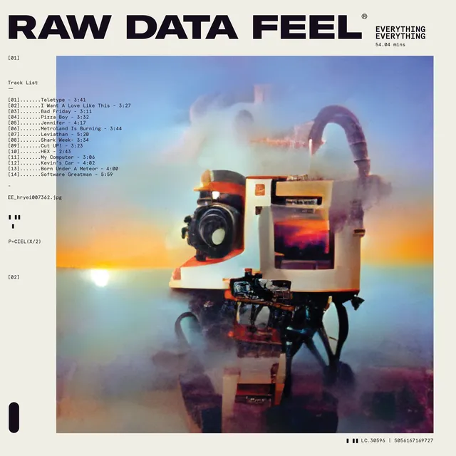 Everything Everything Raw Data Feel (CD) 