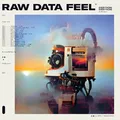Everything Everything Raw Data Feel - LTD (LP)