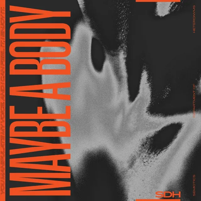 SDH Maybe A Body (12") 