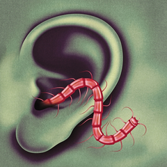 Thee Oh Sees An Odd Entrances (LP)