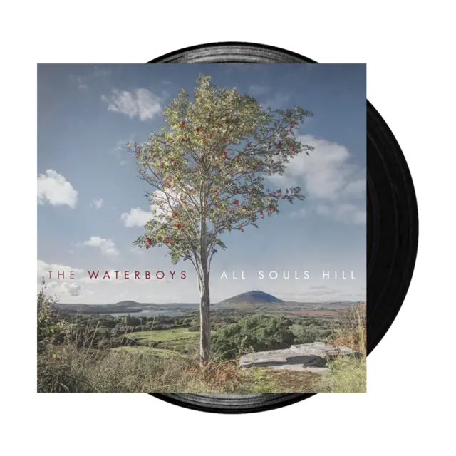 The Waterboys All Souls Hill (LP) 
