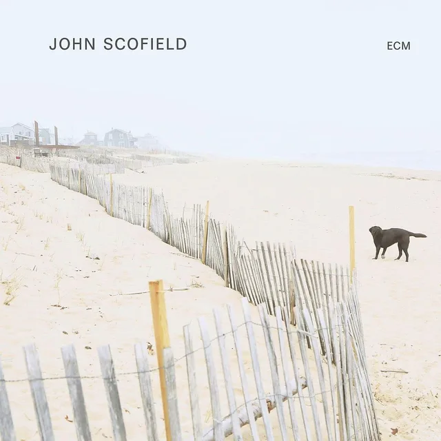 John Scofield John Scofield (LP) 