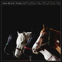 Foxing Nearer My God (2LP)