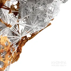 Khompa Perceive Reality (LP)