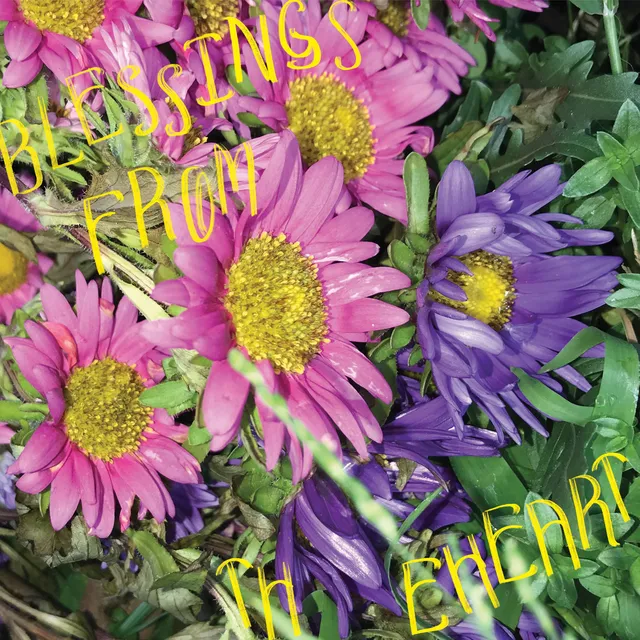 Joe Other Blessings From The Heart (LP) 