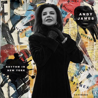 Andy James Rhythm In New York (CD)