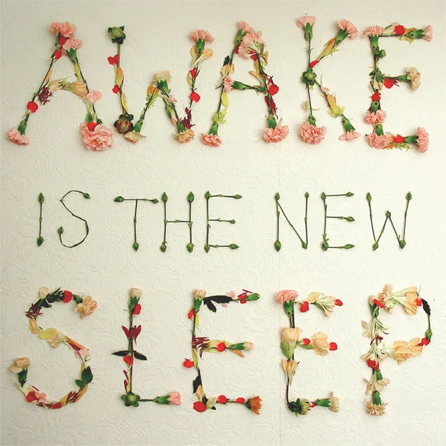 Ben Lee Awake Is The New Sleep - 10th… (2LP) 