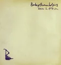 Babyshambles Down In Albion (2LP)