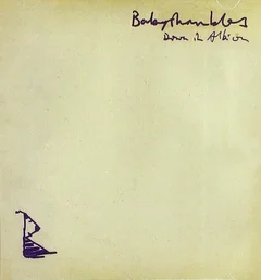 Babyshambles Down In Albion (2LP)