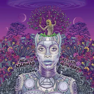 Erykah Badu New Amerykah Part Two - LTD (2LP)