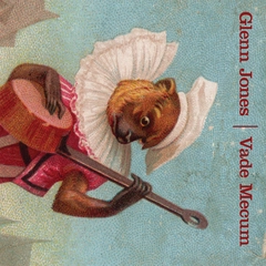 Glenn Jones Vade Mecum - LTD (LP)