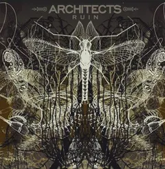 Architects Ruins (LP)