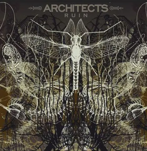 Architects Ruins (LP) 