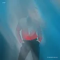 INVSN Let The Night Love You (LP)