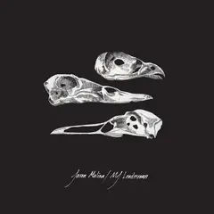 Jason Molina &amp; MJ Lenderman The Last Three Human Words (Demo)… (7")
