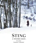 Sting A Winter's Night: Live From Durham…(DVD)