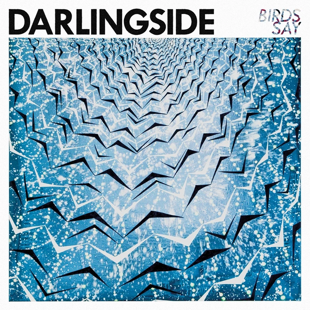 Darlingside Birds Say (2LP) 