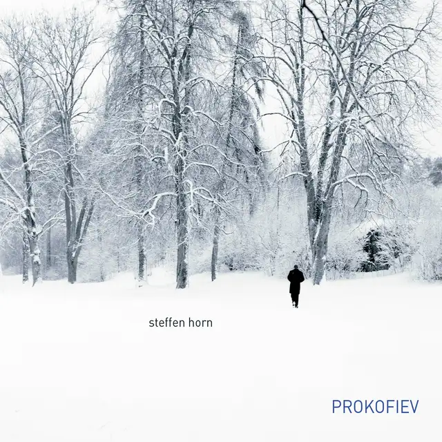 Steffen Horn Prokofiev: Piano Sonatas (CD) 