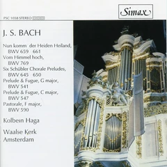Kolbein Haga Bach: Organ Music (CD)