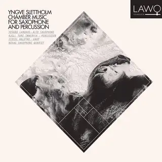 Vegard Landaas/Kjell Tore Innervik Slettholm: Chamber Music For… (CD)