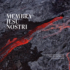 Vox Scaniensis Buxtehude: Membra Jesu Nostri (CD)