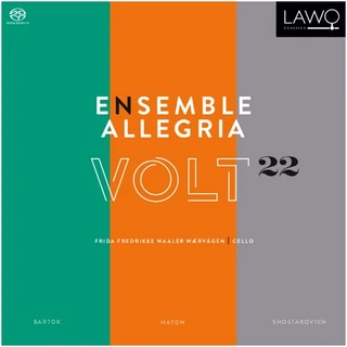 Ensemble Allegria Volt 22 (CD) 