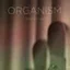 Terje Winge Organism (SABD)