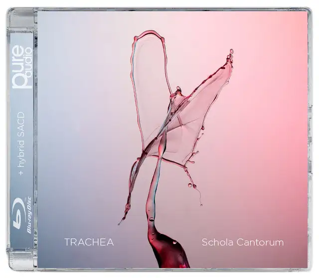 Schola Cantorum Trachea (SABD) 