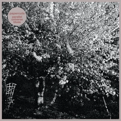 Papercuts Parallel Universe Blues (LP)
