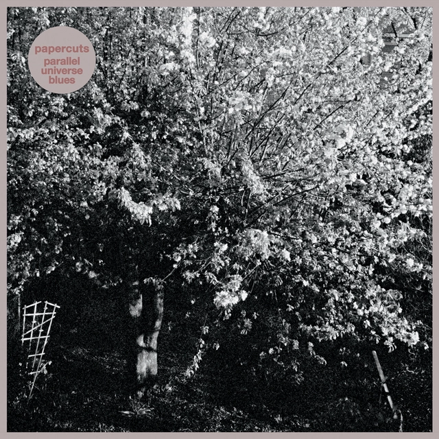 Papercuts Parallel Universe Blues (LP) 