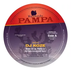 DJ Koze Knock Knock Remixes (12")