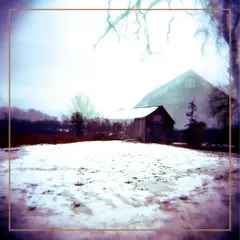 Horse Feathers House With No Home - LTD (LP)