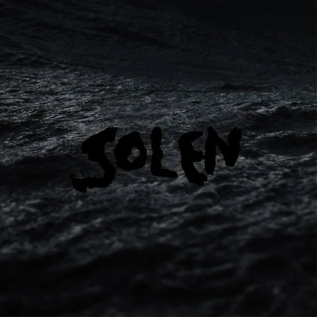 Solen Känslor Säljer / Milljonär (LP) 