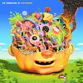 PUP The Unraveling Of Puptheband (LP)