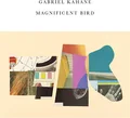 Gabriel Kahane Magnificent Bird (CD)