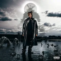 Juice WRLD Fighting Demons (LP)