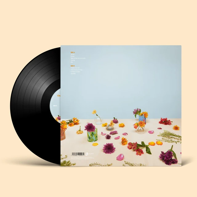 Klossmajor Ordner Seg For Snille Jenter (LP) 