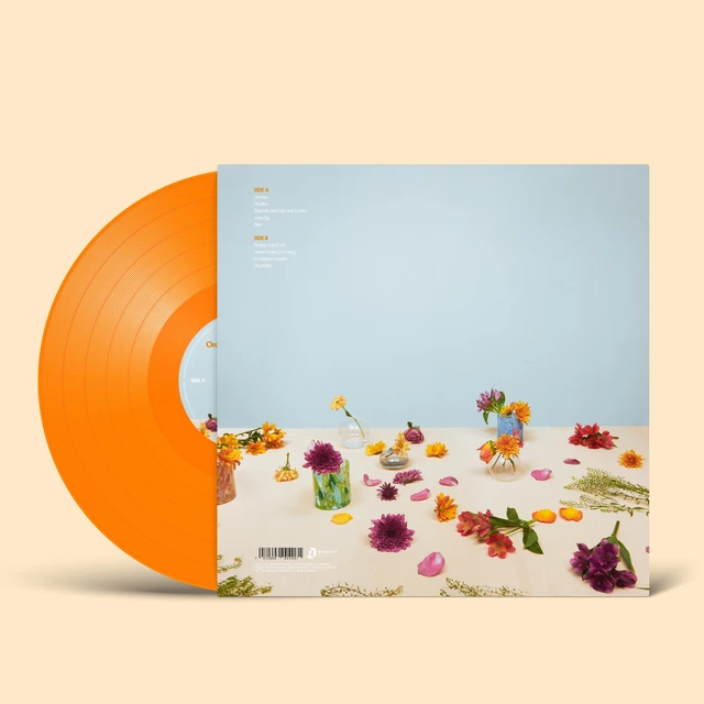 Klossmajor Ordner Seg For Snille Jenter - LTD (LP) 