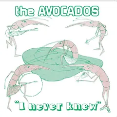 The Avocados I Never Knew (7")