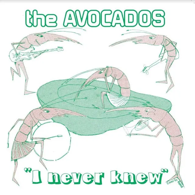 The Avocados I Never Knew (7") 