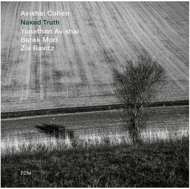 Avishai Cohen Naked Truth (LP) 