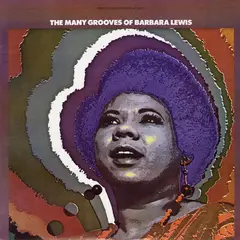 Barbara Lewis The Many Grooves Of Barbara Lewis (LP)