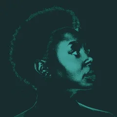 Ledisi Ledisi Sings Nina (LP)