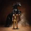 Orville Peck Bronco (2LP)