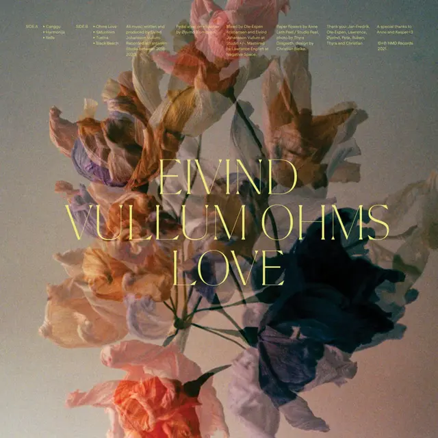 Eivind Vullum Ohms Love (LP) 