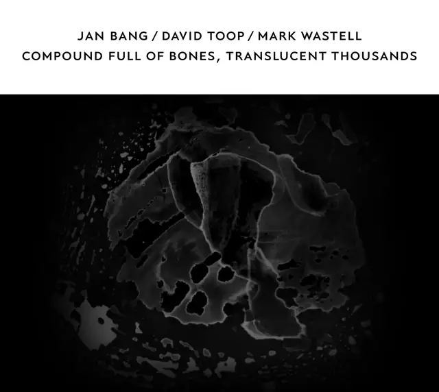 Jan Bang/David Toop/Mark Wastell Compound Full Of Bones, Translucent…(CD) 